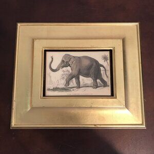 Antique Gold Framed 19th Century Elephant Print